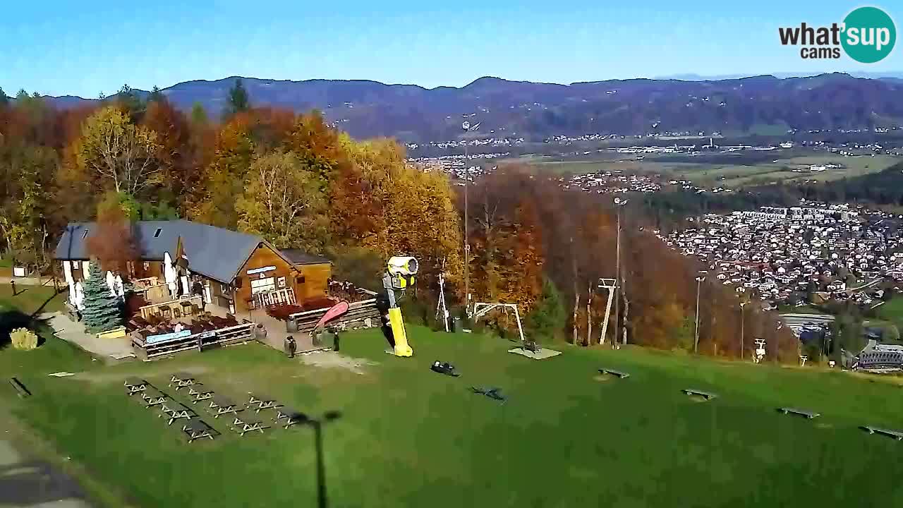 Webcam Pohorje Trikotna Jasa | Poštela