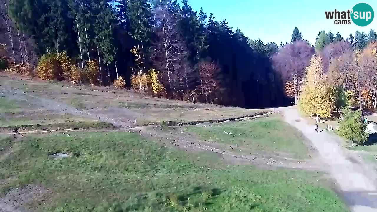 Web kamera Pohorje Trikotna Jasa | Poštela