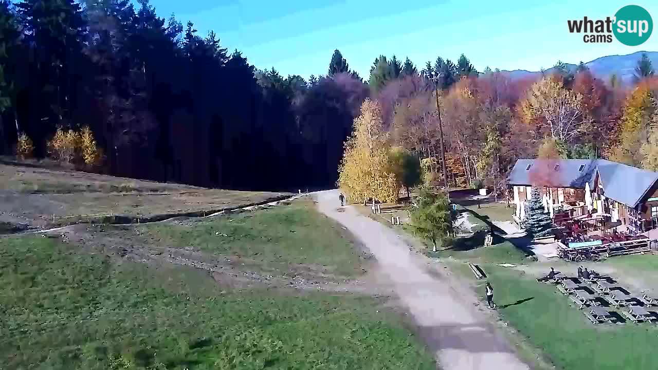 Webcam Pohorje Trikotna Jasa | Poštela