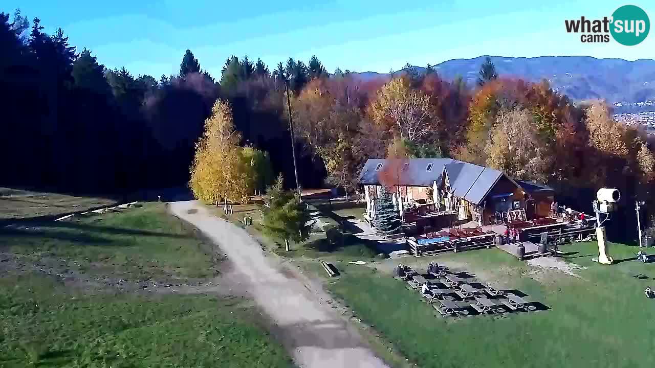 Web Camera Pohorje Trikotna Jasa | Poštela