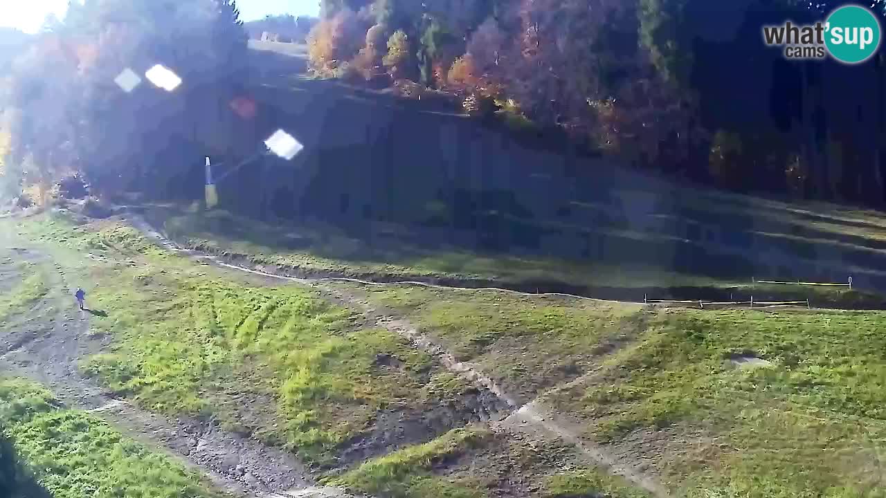 Webcam Pohorje Trikotna Jasa | Poštela