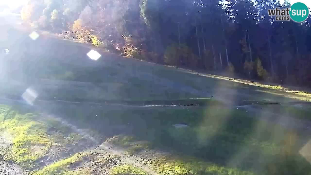 Webcam Pohorje Trikotna Jasa | Poštela