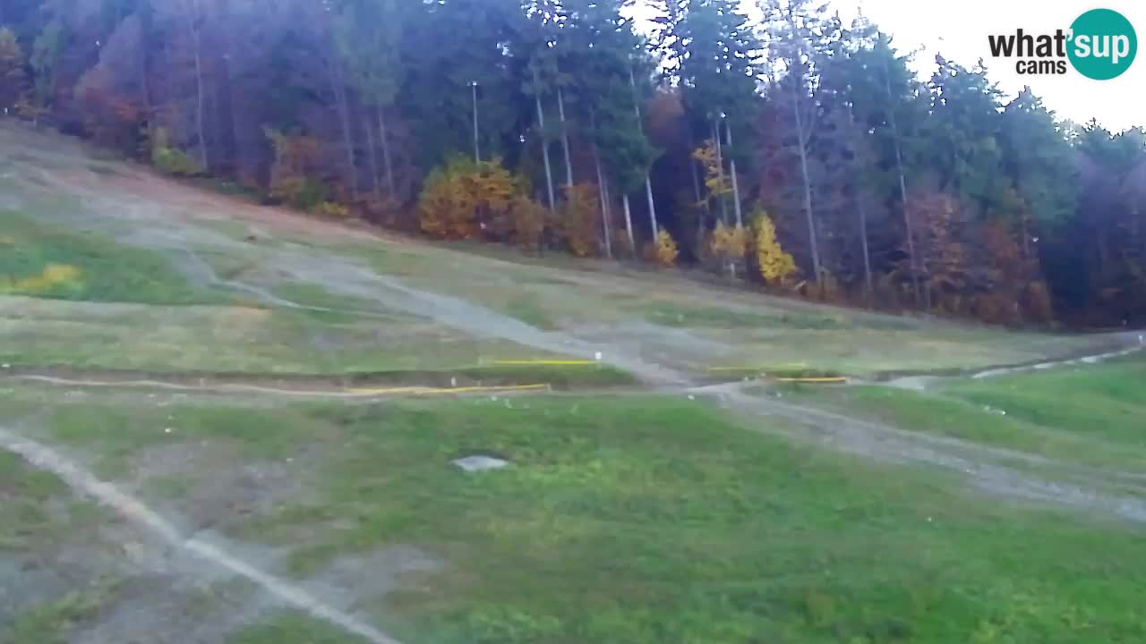 Webcam Pohorje Trikotna Jasa | Poštela