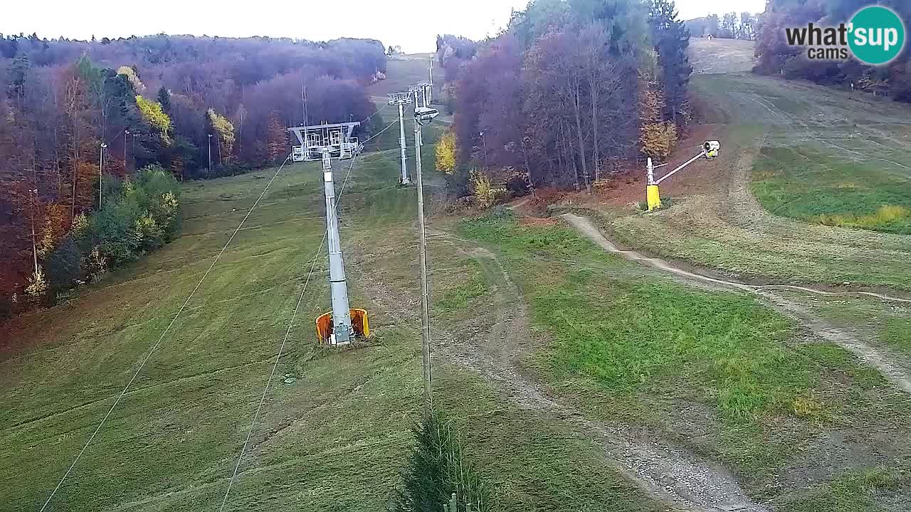 Web kamera Pohorje Trikotna Jasa | Poštela