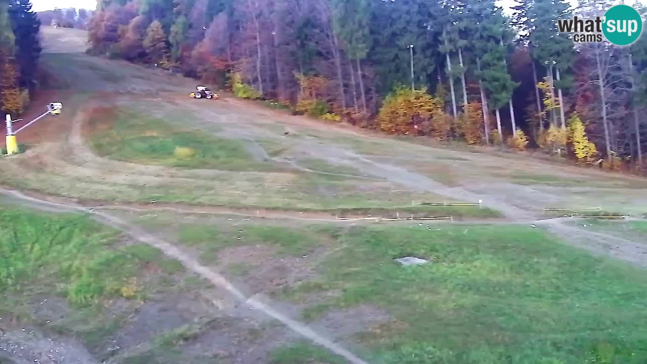 Webcam Pohorje Trikotna Jasa | Poštela