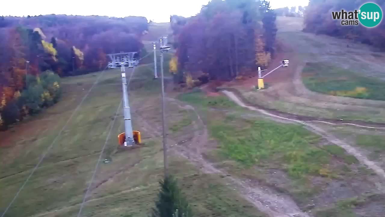 Webcam Pohorje Trikotna Jasa | Poštela