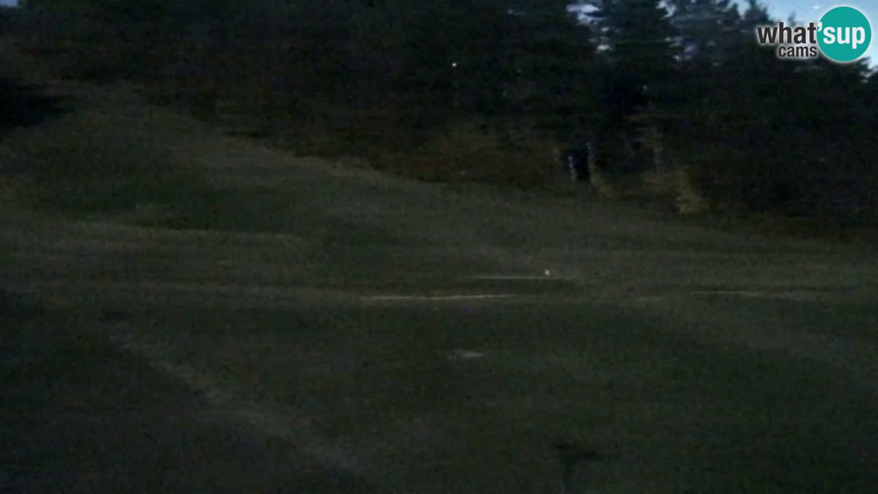 Webcam Pohorje Trikotna Jasa | Poštela