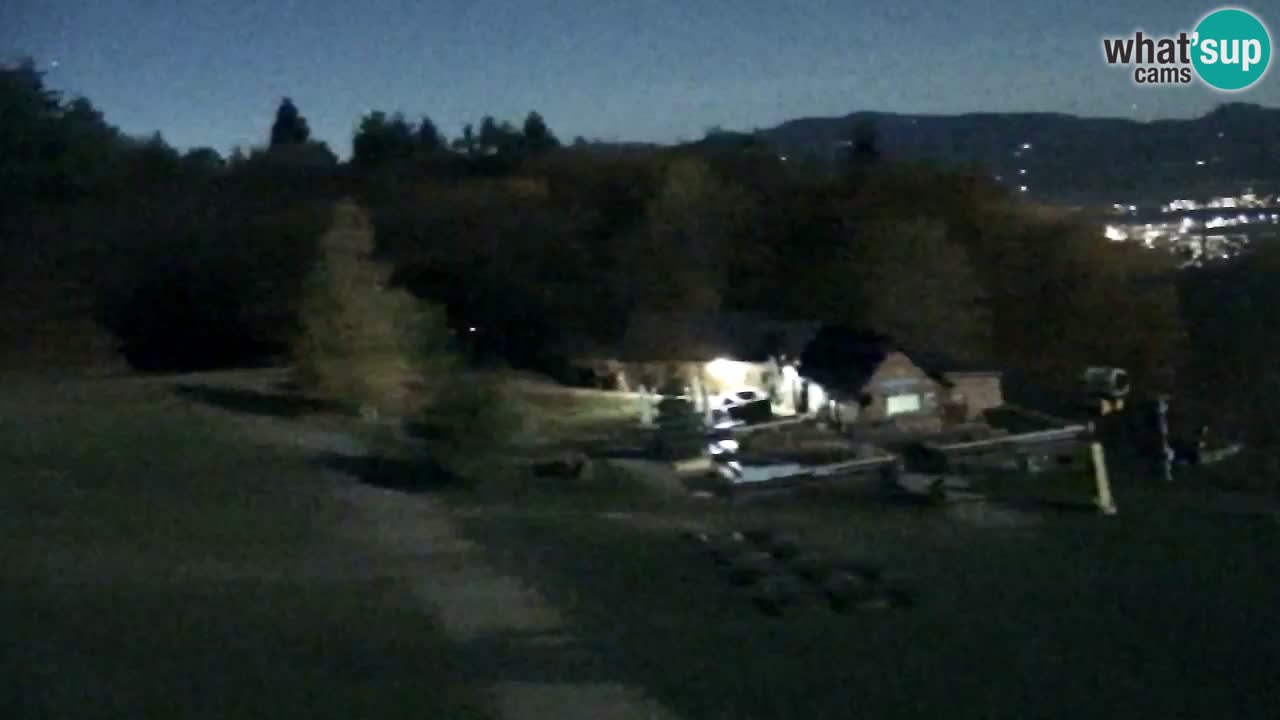 Webcam Pohorje Trikotna Jasa | Poštela