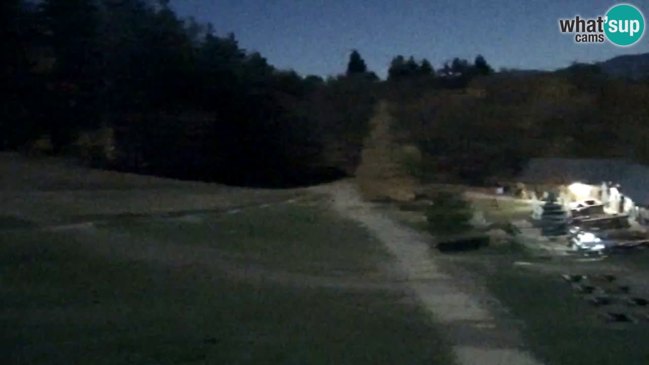 Webcam Pohorje Trikotna Jasa | Poštela