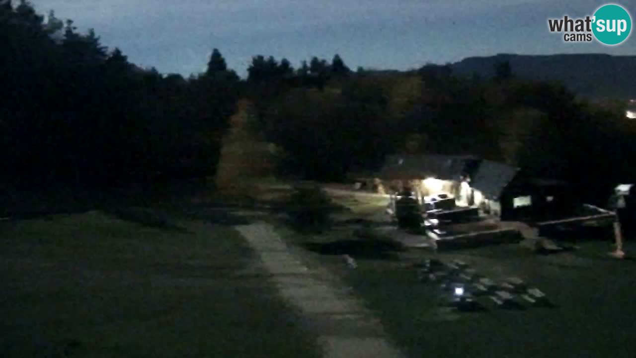 Web Camera Pohorje Trikotna Jasa | Poštela