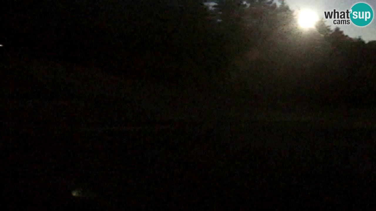 Webcam Pohorje Trikotna Jasa | Poštela