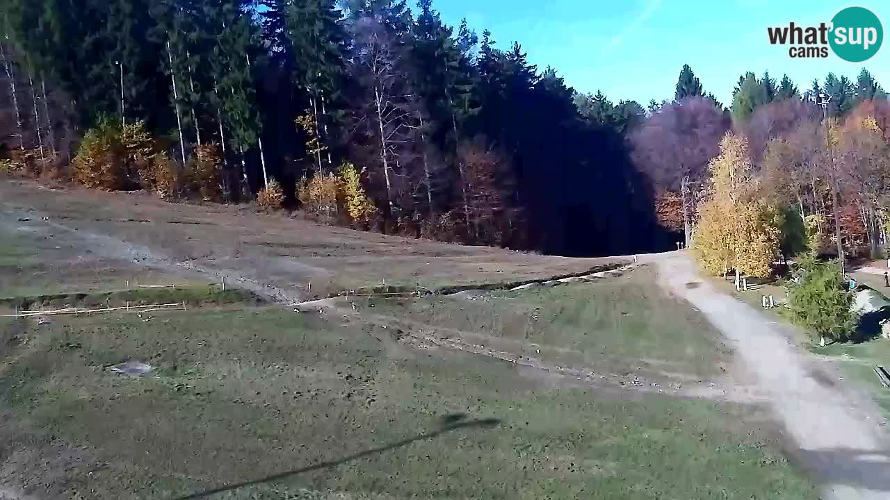 Webcam Pohorje Trikotna Jasa | Poštela
