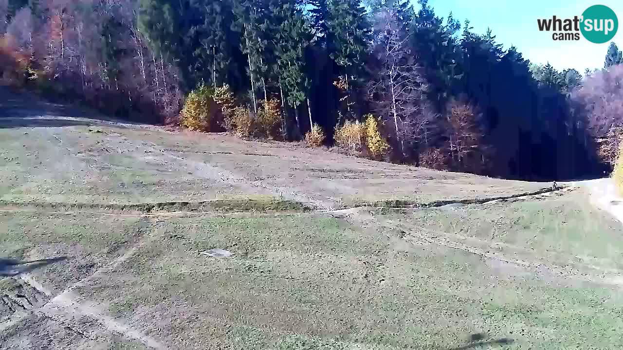 Webcam Pohorje Trikotna Jasa | Poštela