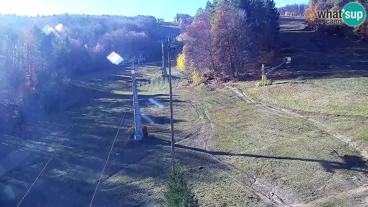 Webcam Pohorje Trikotna Jasa | Poštela