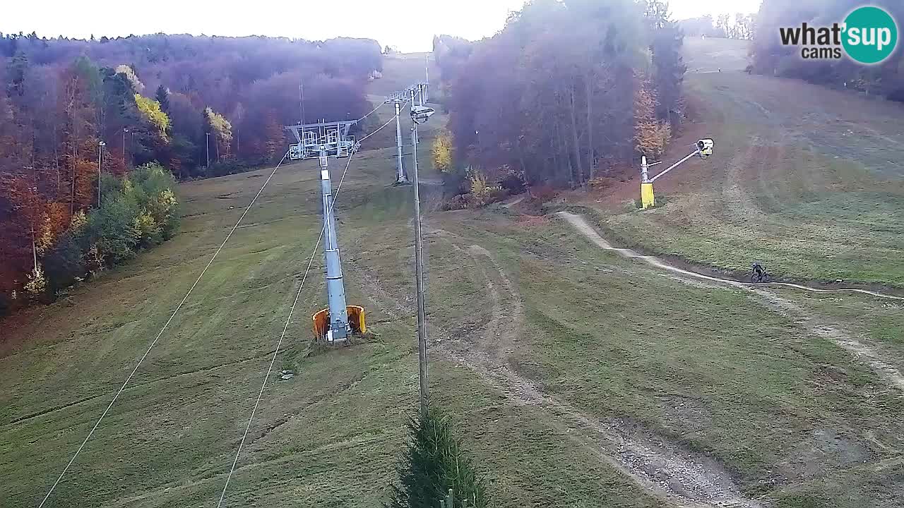 Webcam Pohorje Trikotna Jasa | Poštela