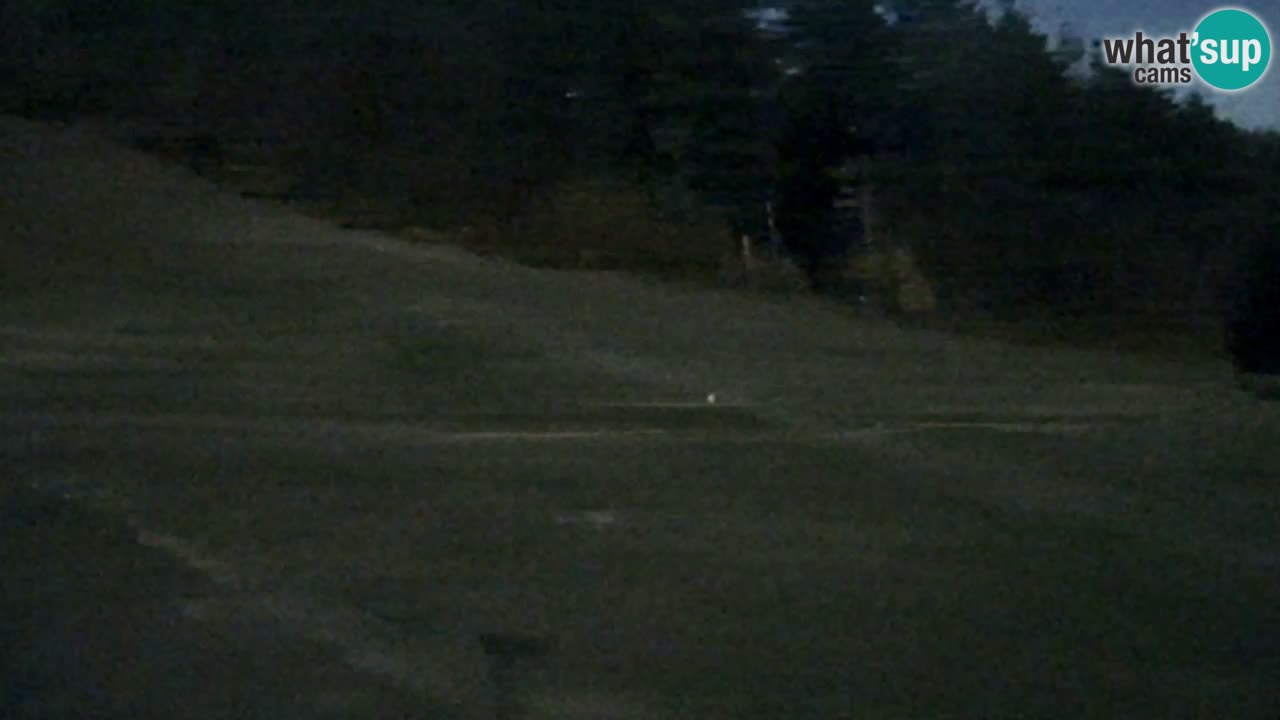 Webcam Pohorje Trikotna Jasa | Poštela