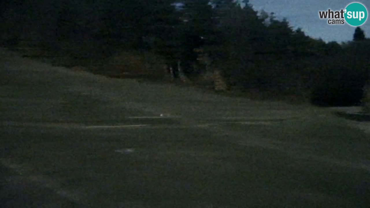 Webcam Pohorje Trikotna Jasa | Poštela