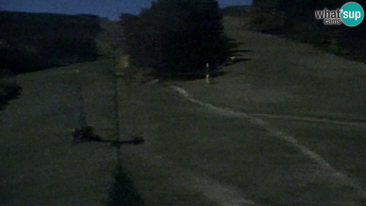 Webcam Pohorje Trikotna Jasa | Poštela