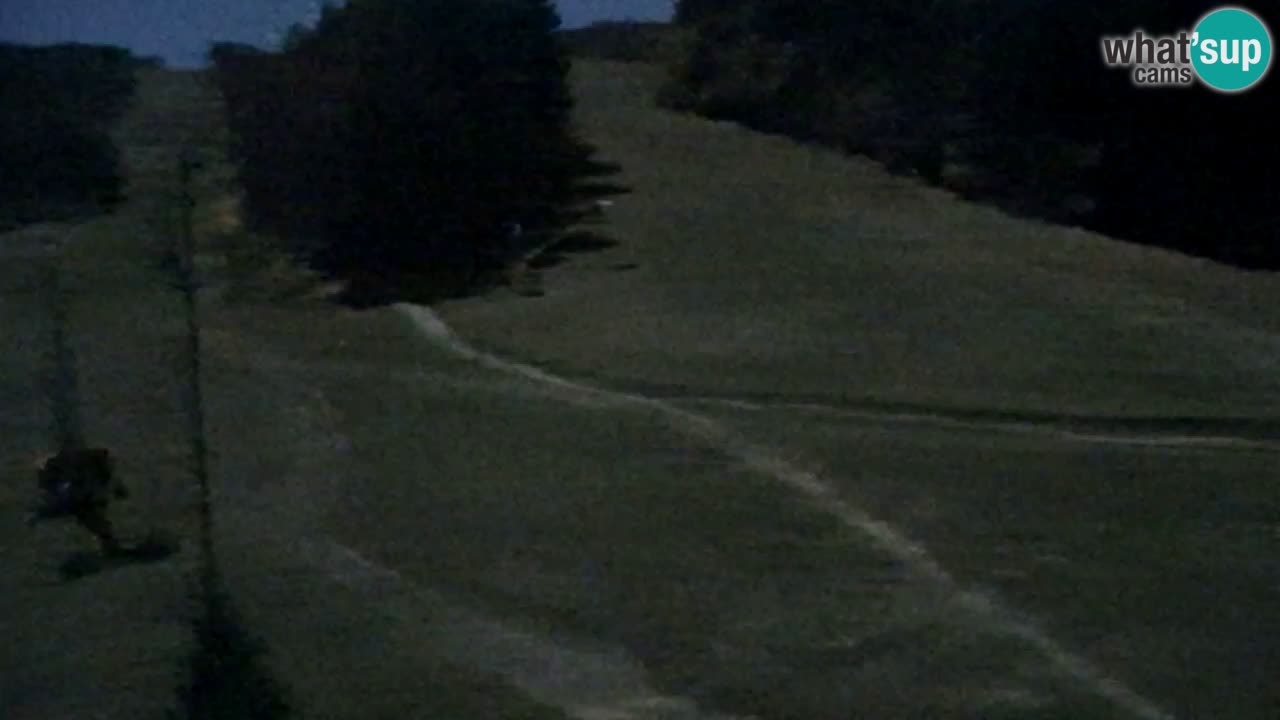 Webcam Pohorje Trikotna Jasa | Poštela