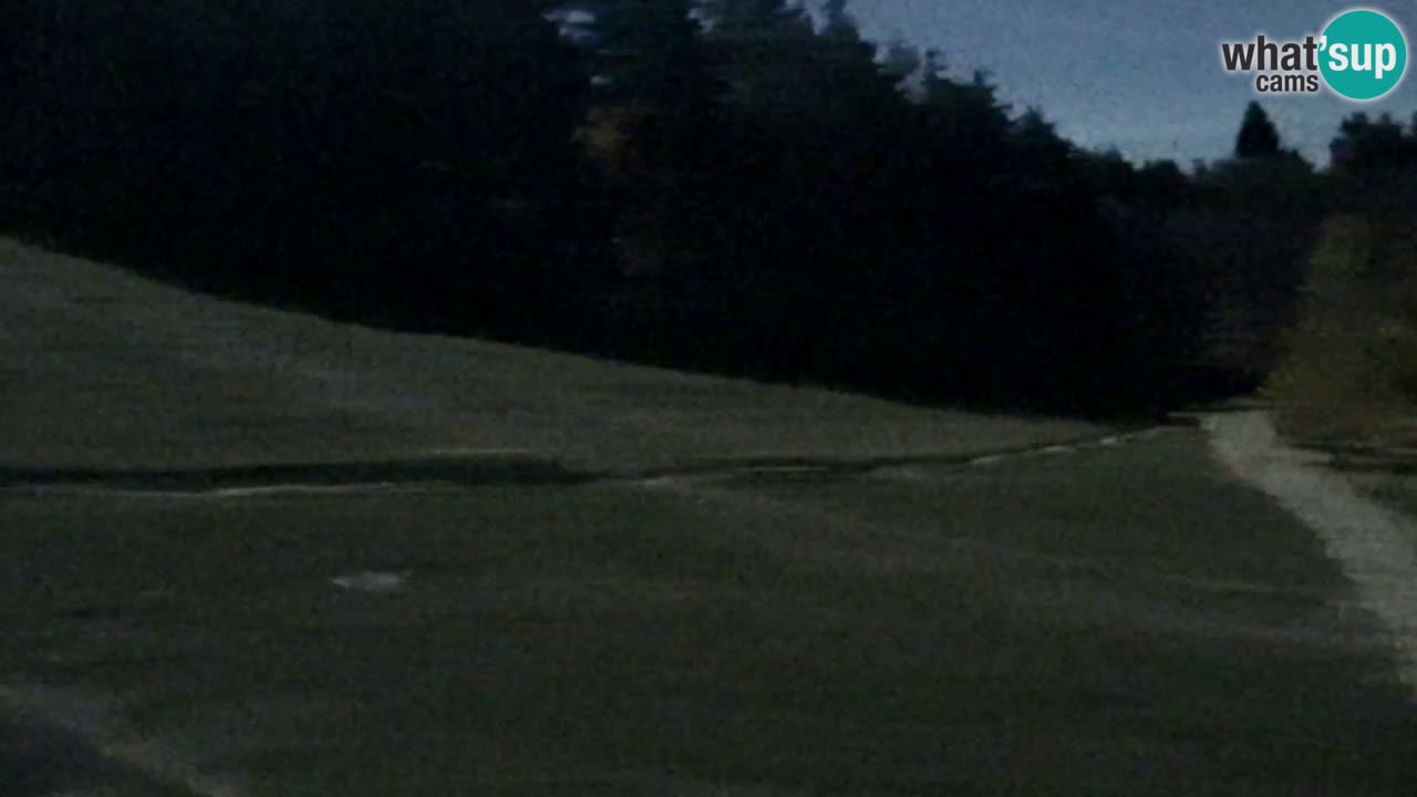 Webcam Pohorje Trikotna Jasa | Poštela