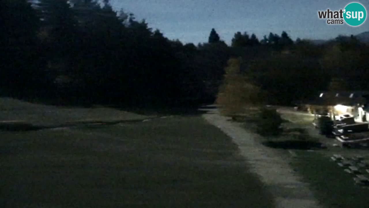 Web Camera Pohorje Trikotna Jasa | Poštela