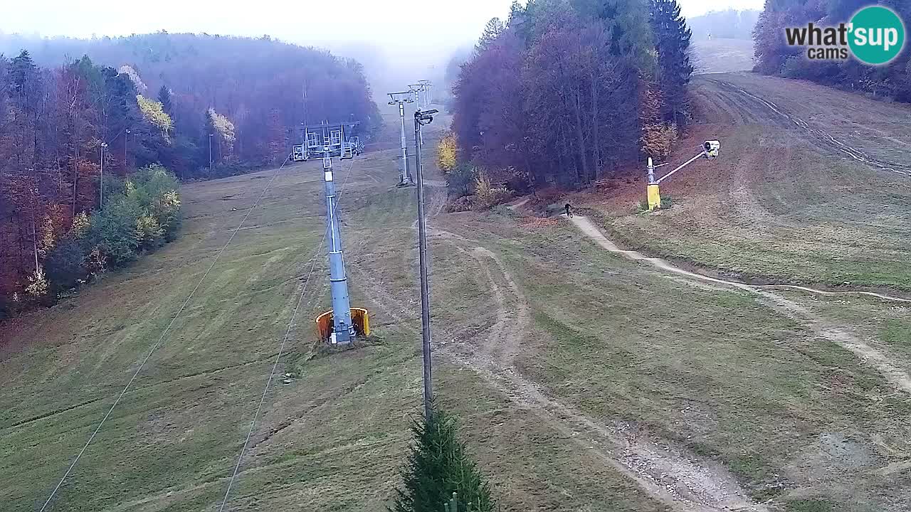 Web kamera Pohorje Trikotna Jasa | Poštela