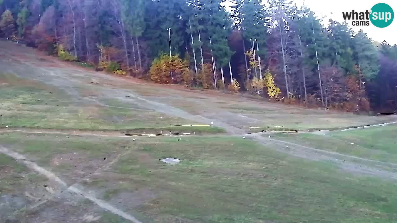 Web Camera Pohorje Trikotna Jasa | Poštela