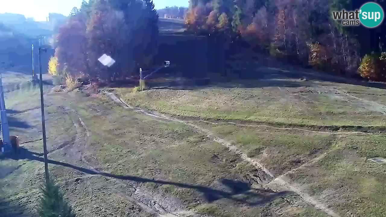 Webcam Pohorje Trikotna Jasa | Poštela