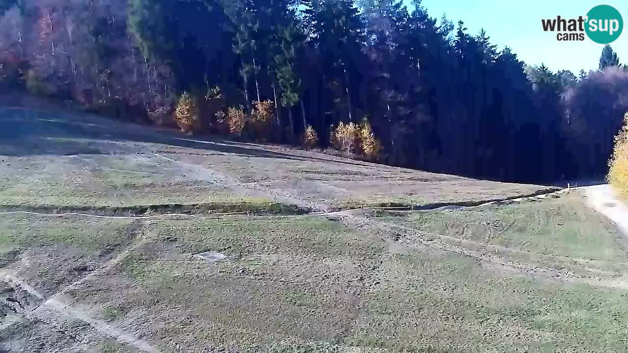 Webcam Pohorje Trikotna Jasa | Poštela