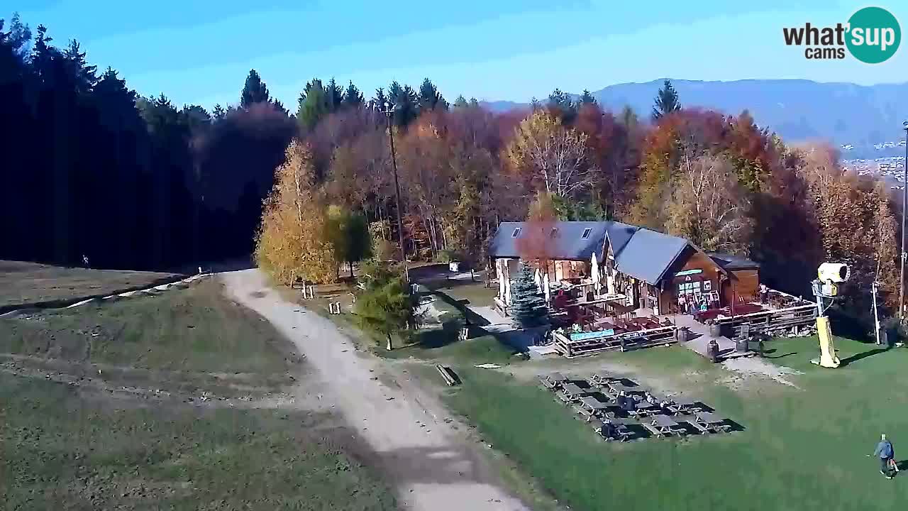 Webcam Pohorje Trikotna Jasa | Poštela