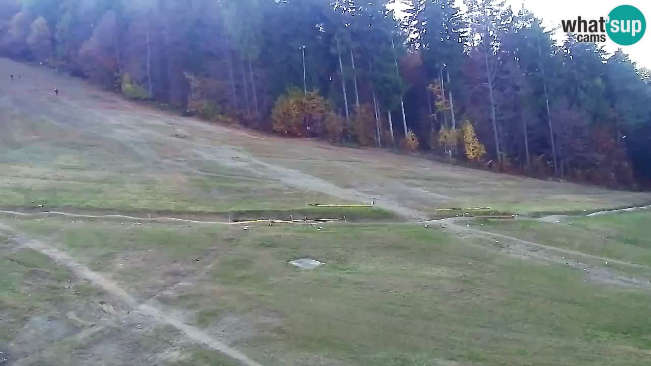 Spletna Kamera Pohorje Trikotna Jasa | Poštela