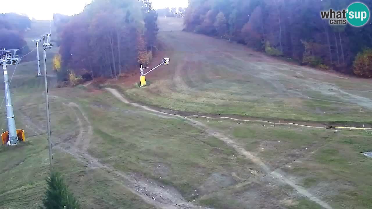 Spletna Kamera Pohorje Trikotna Jasa | Poštela