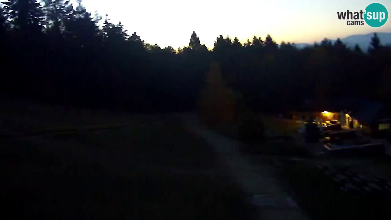 Web Camera Pohorje Trikotna Jasa | Poštela