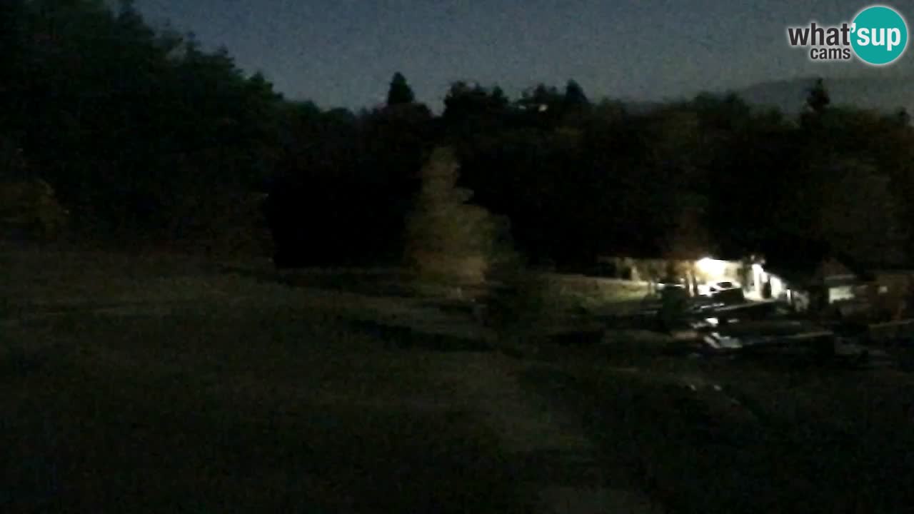 Webcam Pohorje Trikotna Jasa | Poštela