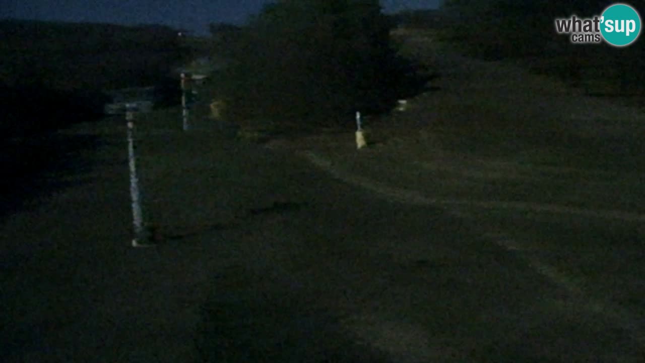 Web Camera Pohorje Trikotna Jasa | Poštela