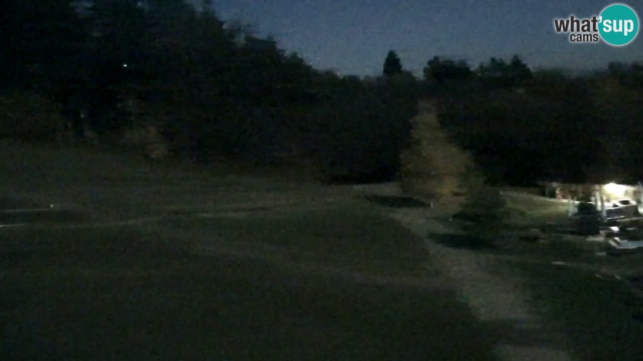 Web Camera Pohorje Trikotna Jasa | Poštela