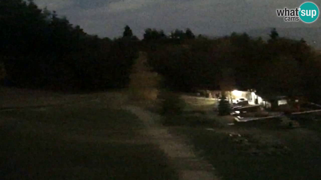 Webcam Pohorje Trikotna Jasa | Poštela