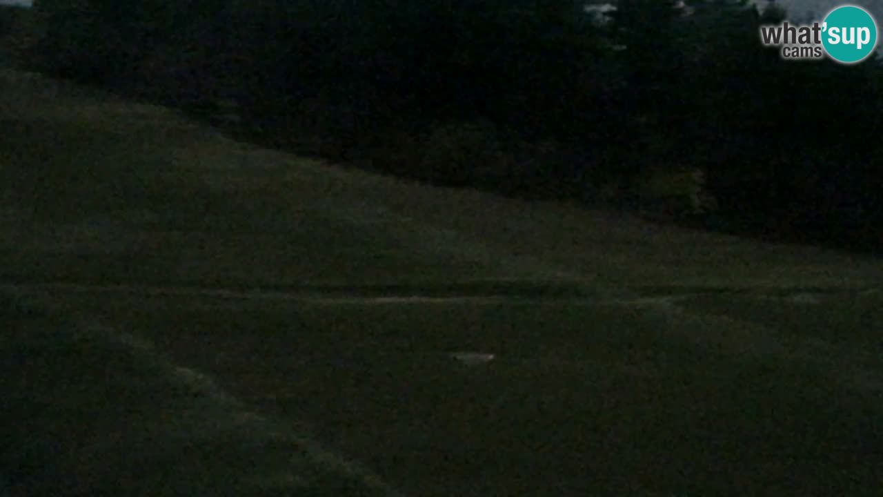 Webcam Pohorje Trikotna Jasa | Poštela