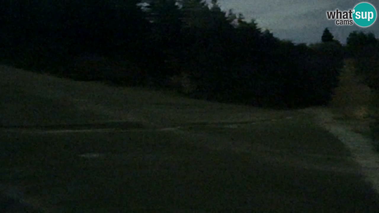 Webcam Pohorje Trikotna Jasa | Poštela