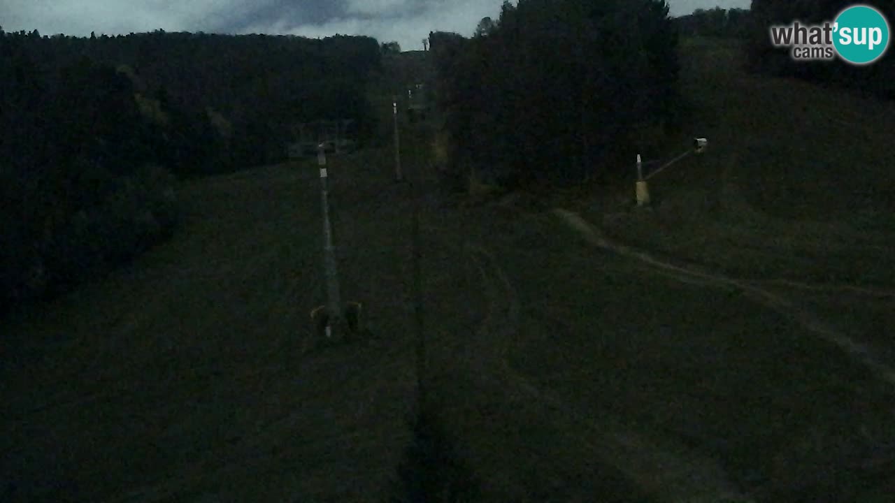 Webcam Pohorje Trikotna Jasa | Poštela