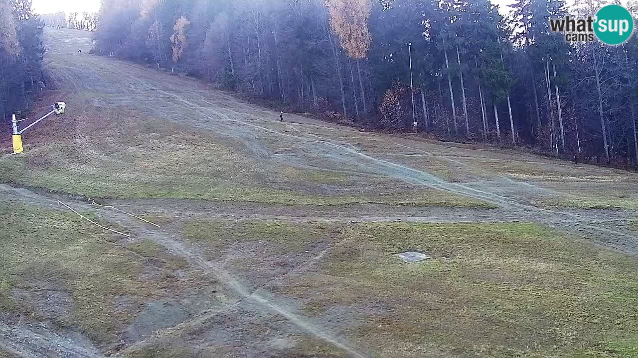 Webcam Pohorje Trikotna Jasa | Poštela