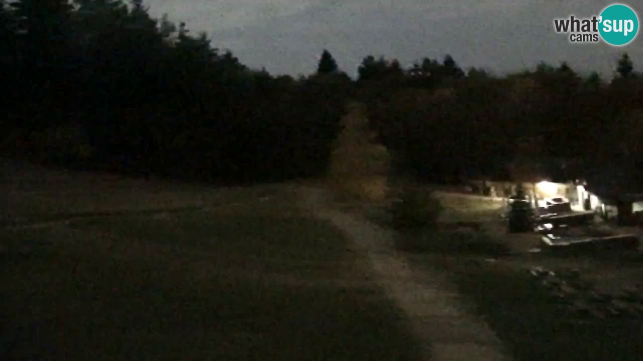 Web Camera Pohorje Trikotna Jasa | Poštela