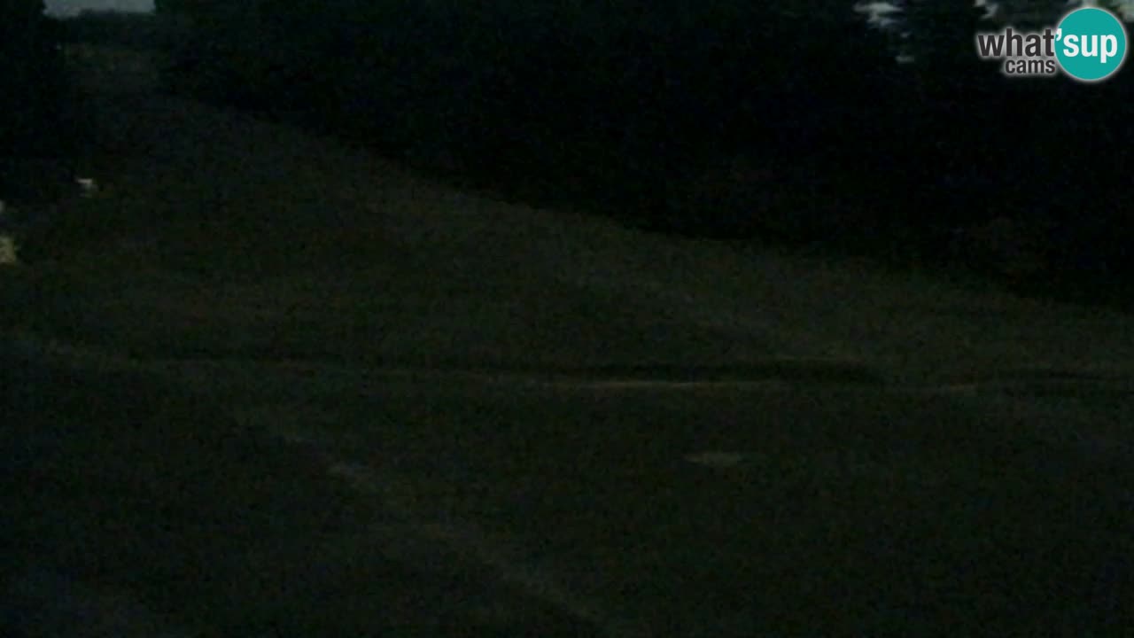 Webcam Pohorje Trikotna Jasa | Poštela