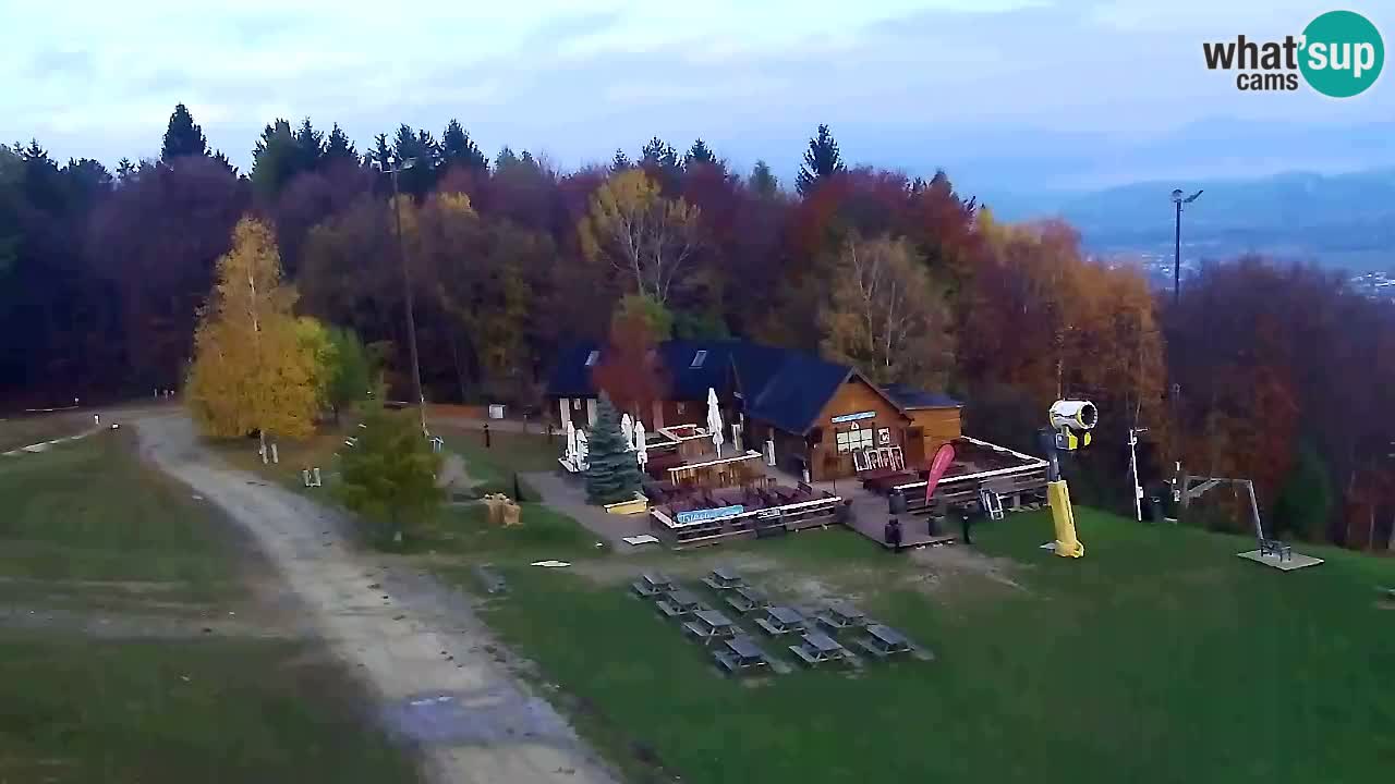 Webcam Pohorje Trikotna Jasa | Poštela