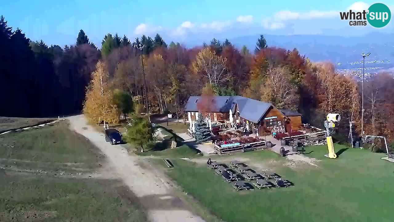 Webcam Pohorje Trikotna Jasa | Poštela