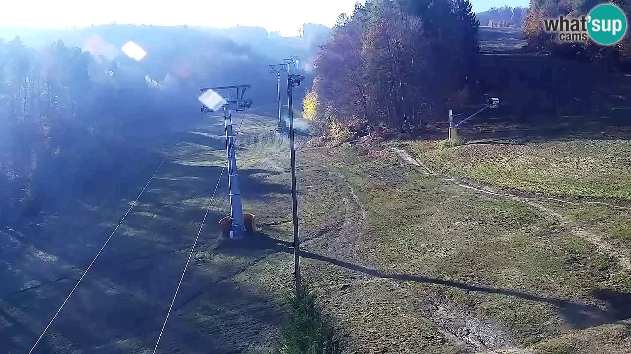 Webcam Pohorje Trikotna Jasa | Poštela