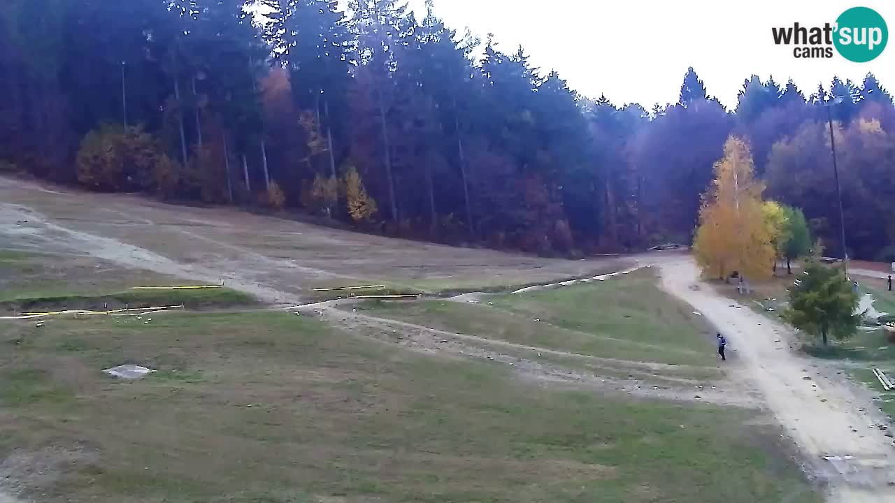 Web Camera Pohorje Trikotna Jasa | Poštela