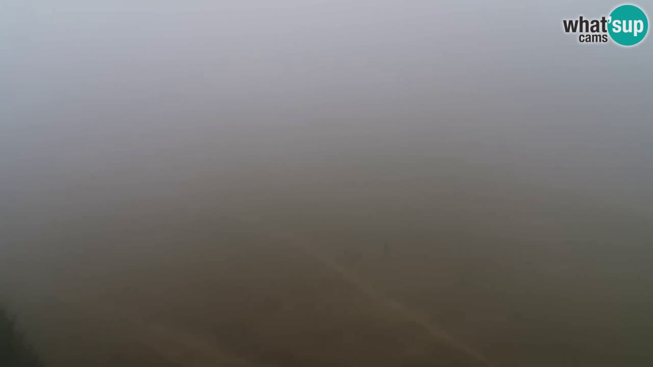 Webcam Pohorje Trikotna Jasa | Poštela