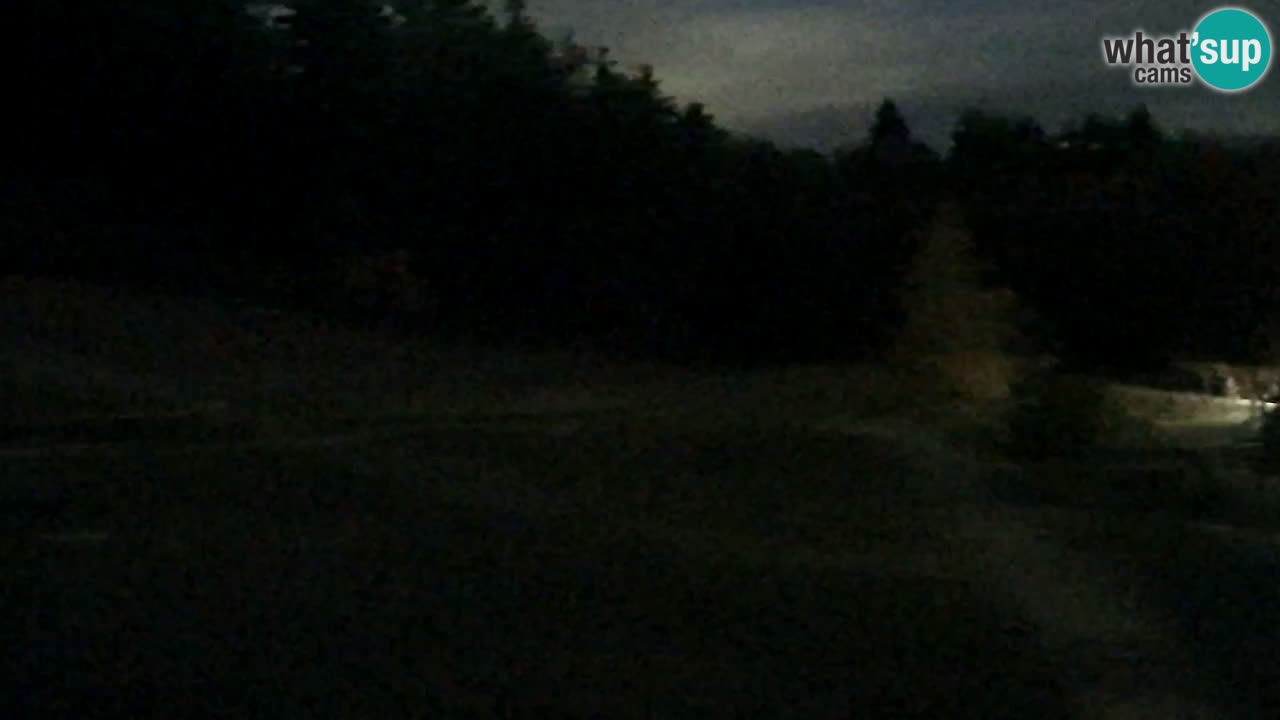 Webcam Pohorje Trikotna Jasa | Poštela