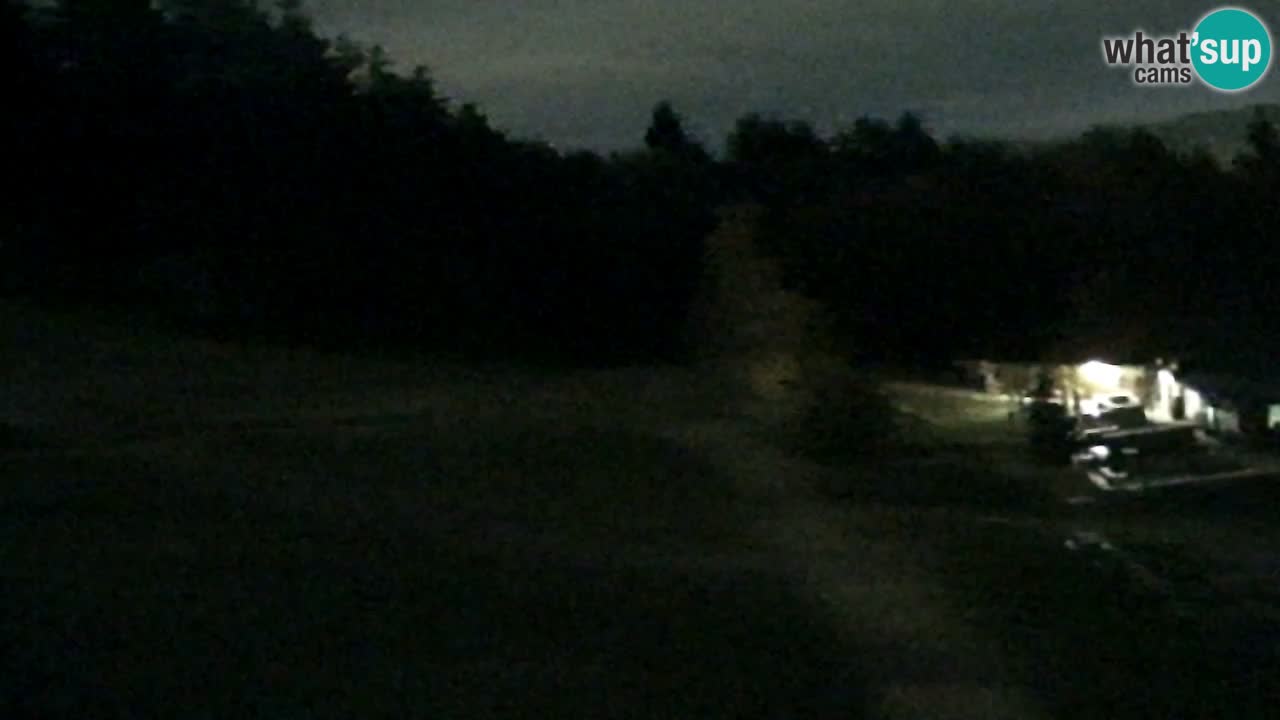 Webcam Pohorje Trikotna Jasa | Poštela